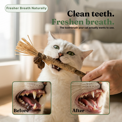 Wild Silvervine Dental Chews